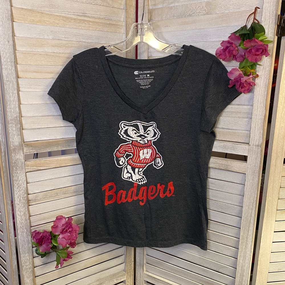 Women’s Wisconsin Badgers V-Neck T-Shirt - M - Picture 3 of 3
